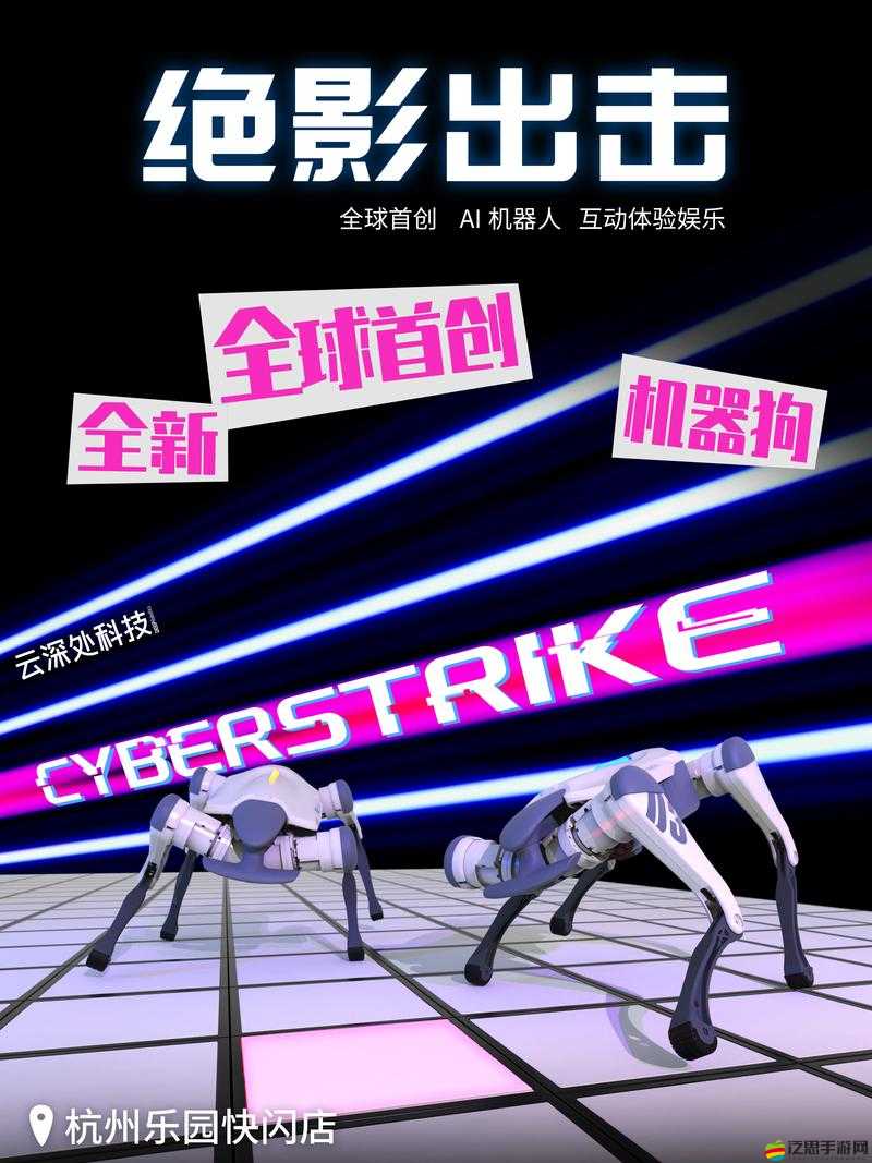 街頭機器人格斗究竟有多刺激？探索科技與娛樂融合的未知領域