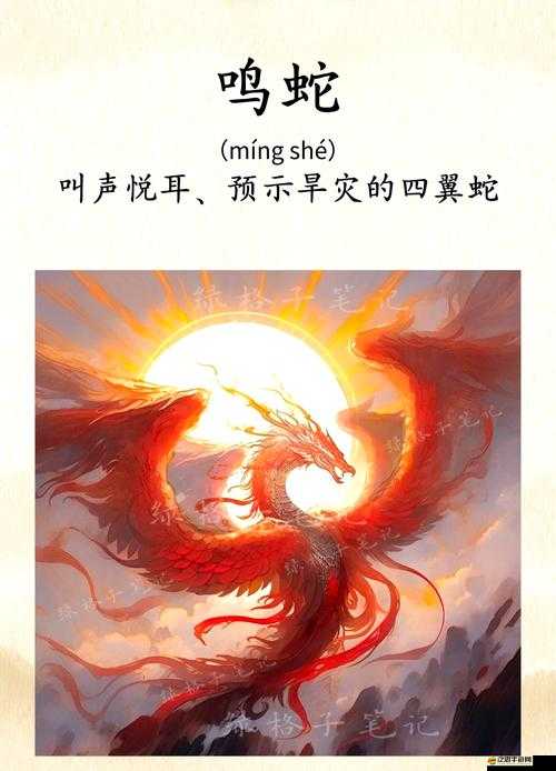 炫影訣中山海經傳說神將魍魎，背后隱藏著怎樣的深度秘密？