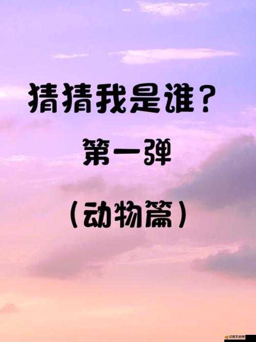 我是誰背影猜猜猜107關(guān)攻略，揭秘其演變歷程與懸念背后的秘密？