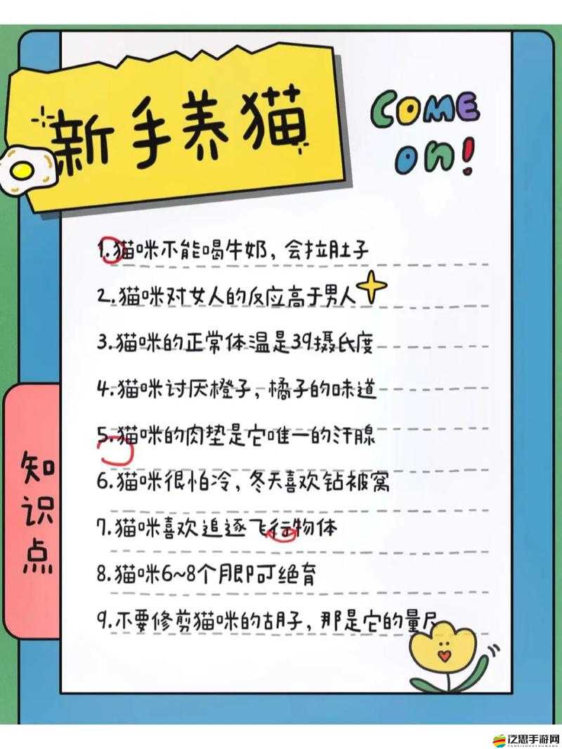 新手必看！揭秘主角成長(zhǎng)之路，這些攻略你真的都了解了嗎？