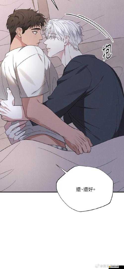 仙靈世界結婚系統為何吸引眾多宅女？揭秘資源管理新視角！