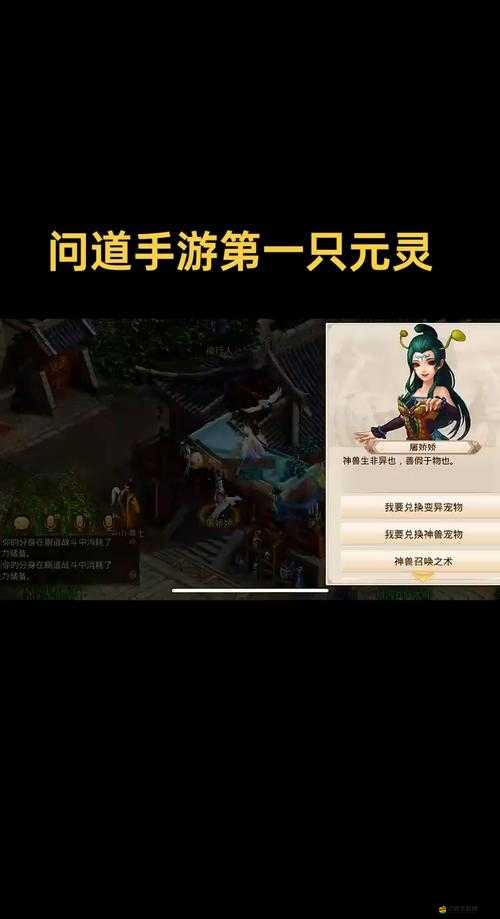 問道手游老手也犯難？揭秘日常修行任務高效攻略何在？