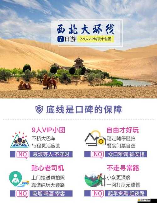 代號S聊天功能系統究竟有何奧秘？深度解析帶你一探究竟