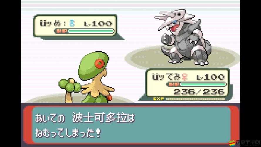 口袋妖怪2深度探索，寵物助威系統(tǒng)究竟藏著哪些奇妙之旅？