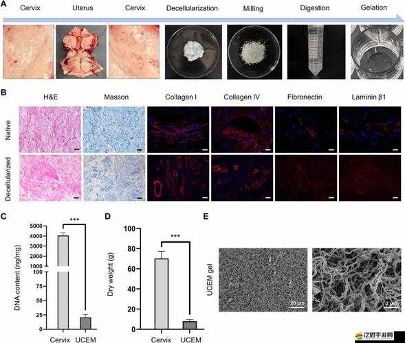 超脫力醫院病理圖鑒及Wifi依賴全揭秘，如何巧妙管理資源成疑？