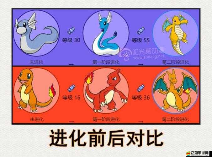 崩潰大陸寵物如何進化？揭秘寵物進化的神秘方法與步驟