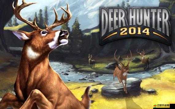 獵鹿高手必備，2014Clayton ODG Falcon步槍全面詳解，實戰效能究竟如何？