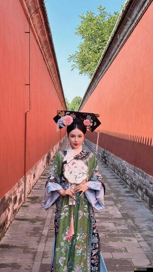 宮廷風云再起，如何應對隨機事件？全面攻略揭秘！