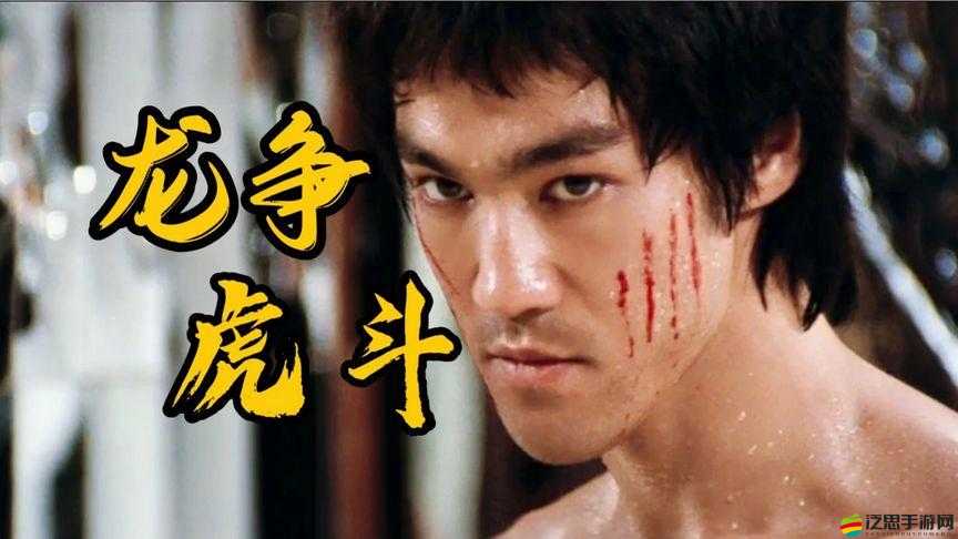 功夫全明星龍爭虎斗如何制霸？全面攻略與必勝技巧小解揭秘！