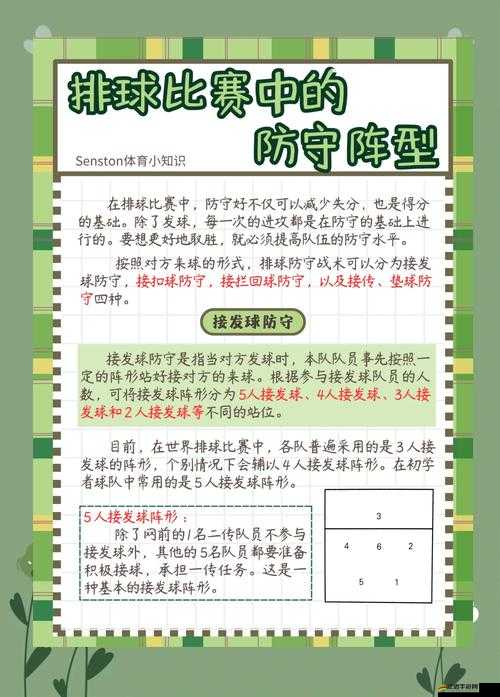 如何在龍珠激斗中制勝？排兵布陣與陣型搭配推薦分析揭秘
