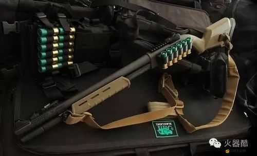 雷名頓M870霰彈槍之王，崩壞學園中它究竟有何獨特魅力？