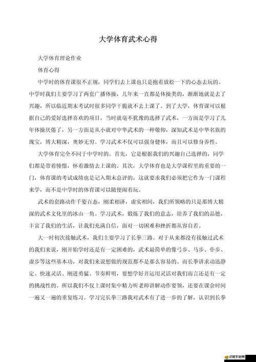 大掌門武功參悟有何獨到心得？揭秘高手修煉經驗之謎