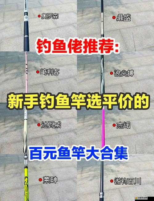 釣魚發(fā)燒友必看，如何選擇魚竿？叉叉助手助你釣三星大魚有何秘訣？