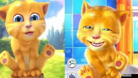 會(huì)說話的金杰到底怎么玩？深度玩法介紹與解析揭秘懸念！