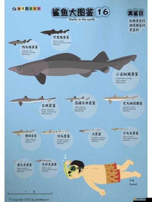 鯊魚超市探秘，饑餓的鯊魚進化游戲中金幣系統(tǒng)是如何演變的？