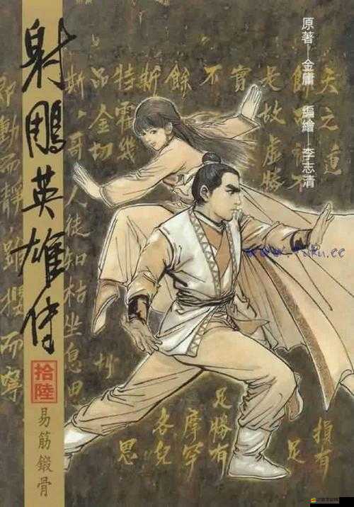 射雕英雄傳3D比武系統震撼上線，武俠夢能否燃情再續成懸念？