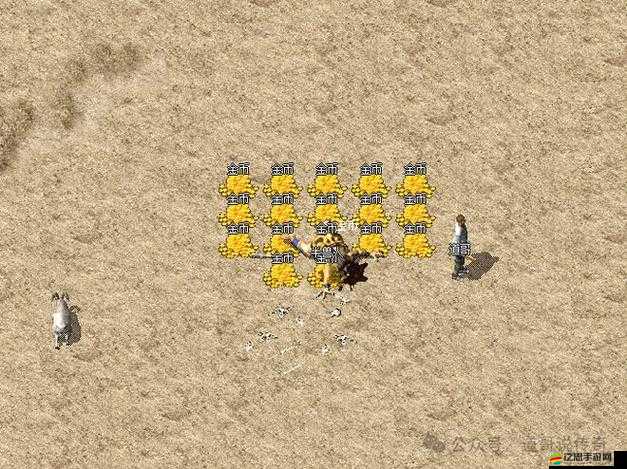 如何點爆傳奇金幣？從新手到精通的全面攻略揭秘！