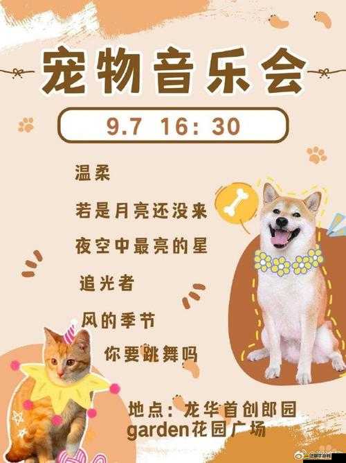 寵物大聯盟活動副本戰開啟，萌寵如何集結挑戰無限精彩？