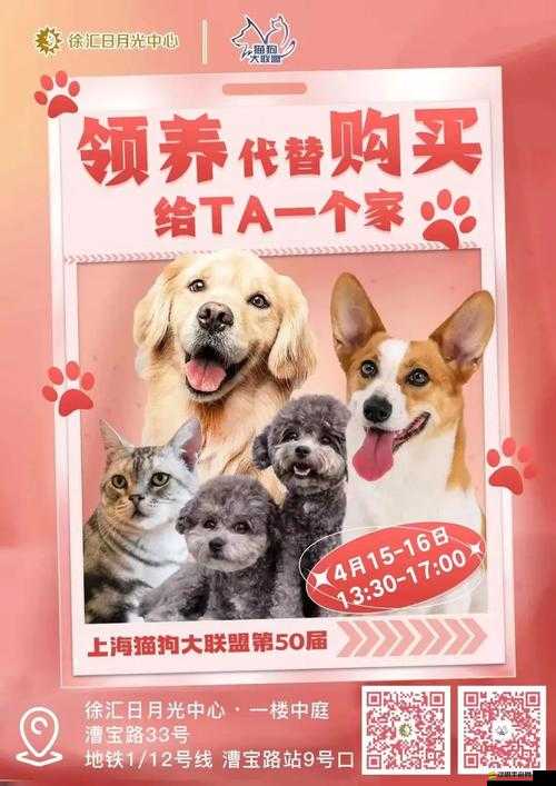 寵物大聯(lián)盟新手初期如何高效參與活動(dòng)？這些攻略你不可不知！