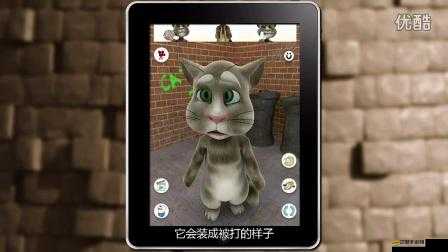 會說話的湯姆貓如何成為客廳明星？游客分享互動心得揭秘！