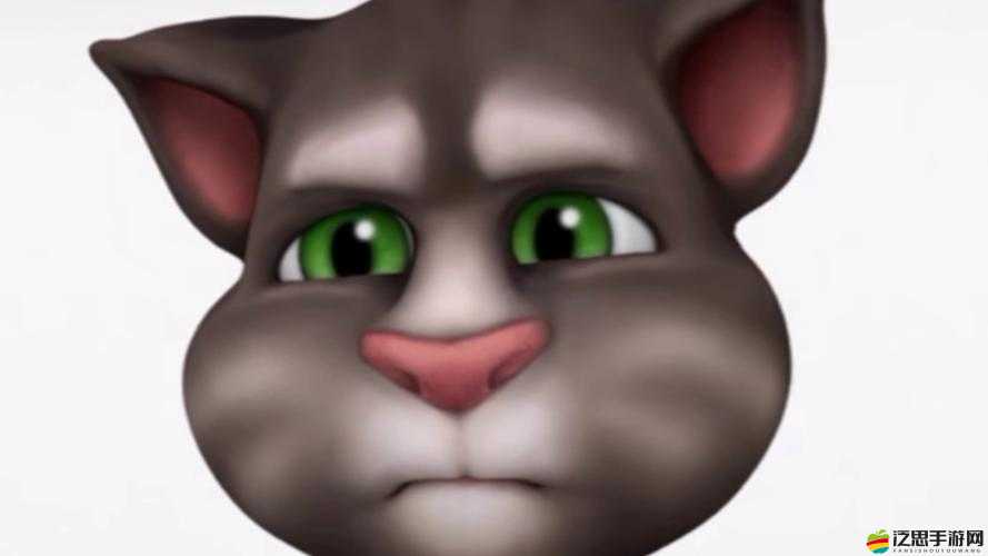 會說話的湯姆貓如何解鎖？探索面部運動表現的趣味攻略揭秘！