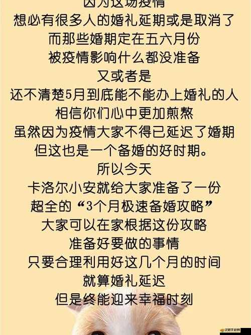烈火狂刀結婚系統全揭秘，如何成功牽手心儀對象，攻略大疑問？