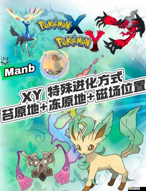 勇者試煉隱藏奧秘？揭秘寵物小精靈XY通關秘籍與玩法心得！