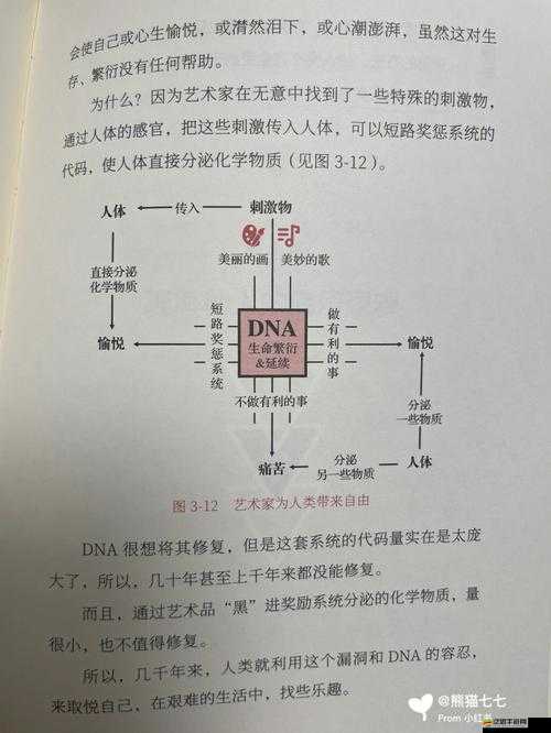 如何巧妙攻略冒險與挖礦礦區BOSS？底層邏輯與操作映射詳解揭秘！
