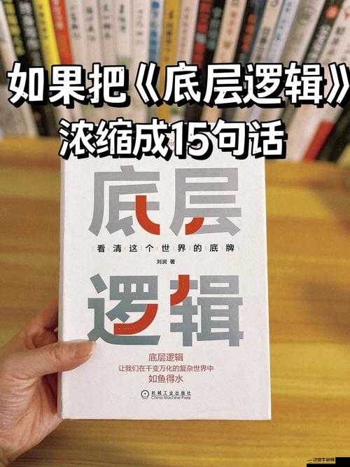 天天掛奇跡交易所深度揭秘，底層邏輯究竟如何影響操作映射？