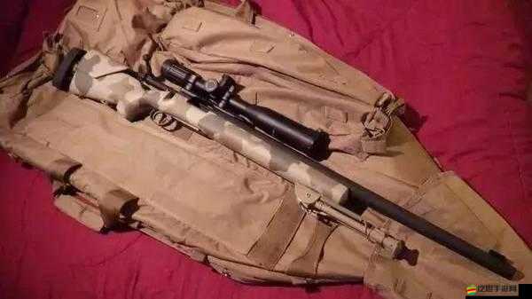 抗戰3D武器揭秘，援軍狙擊槍如何使用才能威力最大化？