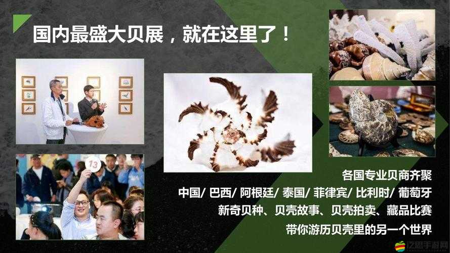 西域食材為何不可或缺？甜心格格游歷獎勵如何助力資源管理？