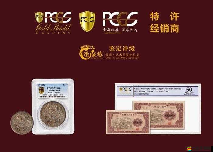 傭兵之王公會玩法手冊大揭秘，如何高效獲取海量經驗與金幣？