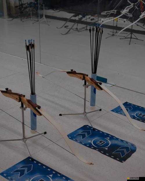 我的英雄弓箭手，職業技能如何演變？揭秘其成長歷程的懸念