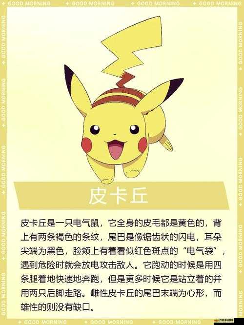 皮卡丘超進化水系如何大幅提升實力？全面攻略揭秘！