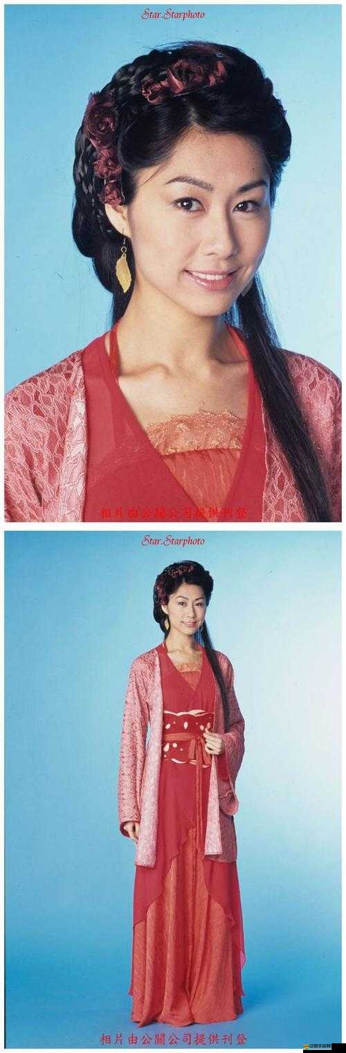 西游美人傳懸賞榜驚現(xiàn)最高通緝令，神秘美人究竟是誰？