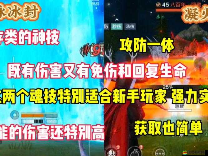 武魂OL中反傷加免傷技能如何搭配使用？玩法詳解揭秘！