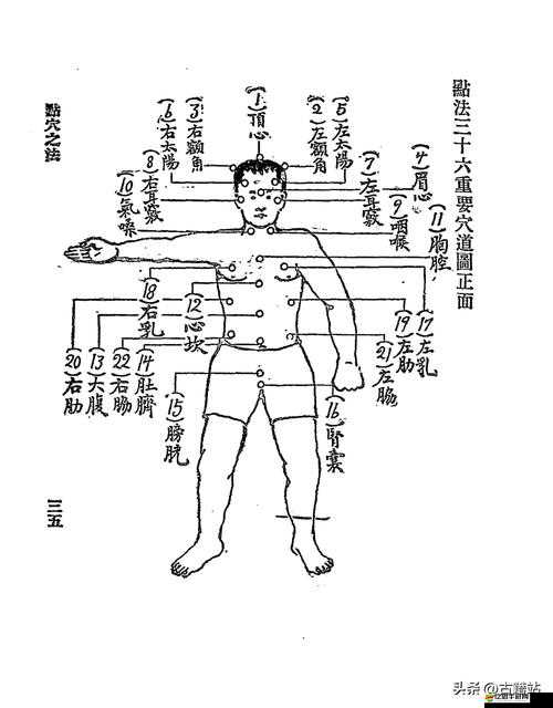 武魂OL中究竟隱藏著哪些拳法秘籍？全面拳法秘籍大全揭秘！