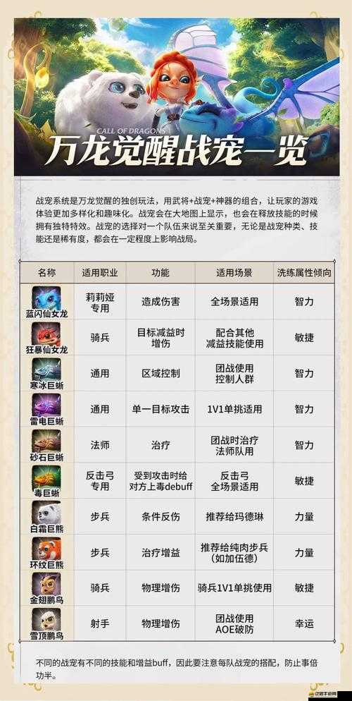 修仙世界如何全面升級(jí)并獲取頂級(jí)裝備、寵物與飛寵？綜合攻略揭秘！