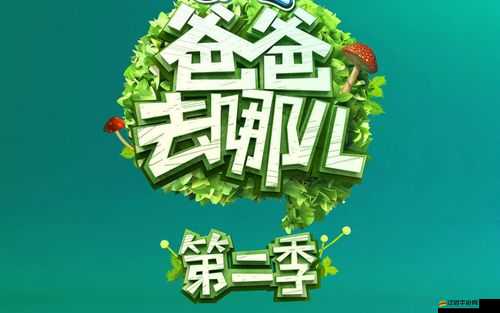 爸爸去哪兒？揭秘快速通關秘籍，未來玩法將如何顛覆性革命？