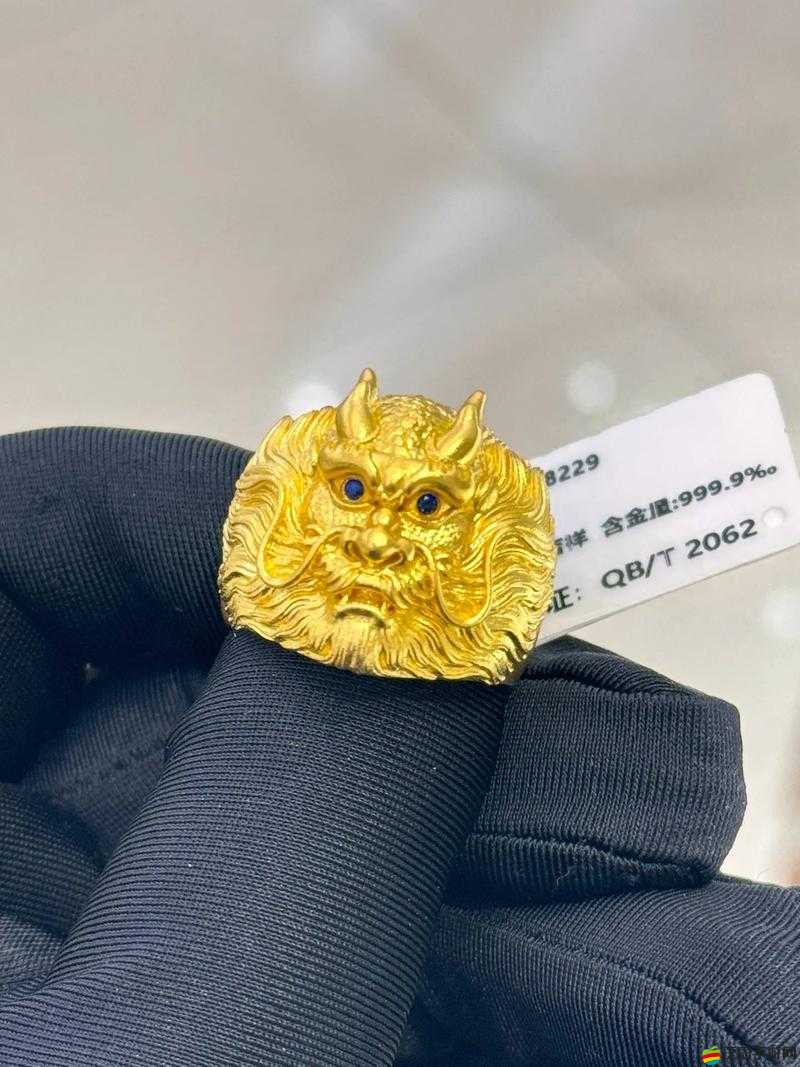 龍戒最大主城究竟隱藏著什么？繁華與榮耀的交匯之地有何秘密？
