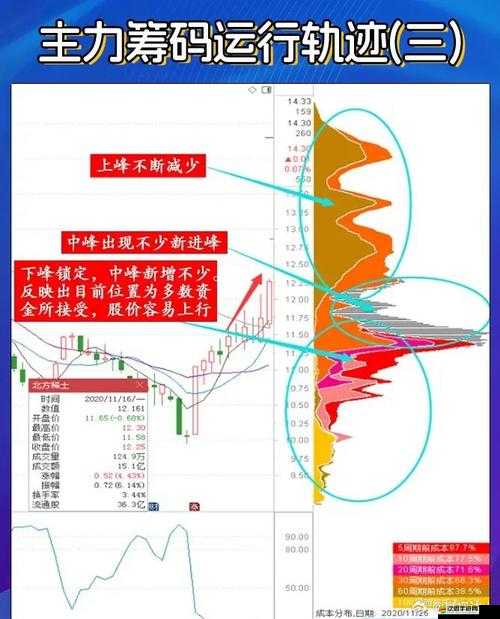 角頭聯盟角斗場背后有何秘密？深度解析帶你一探究竟！