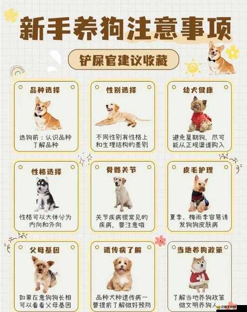 如何在Best Fiends中高效查看寵物品種及其管理技巧的重要性？