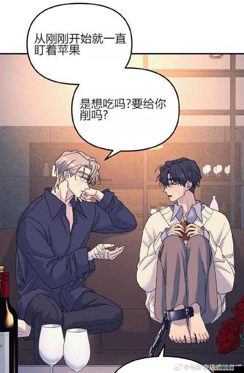 皇帝如何崛起？揭秘最貼心日記體攻略，探索資源管理藝術之謎