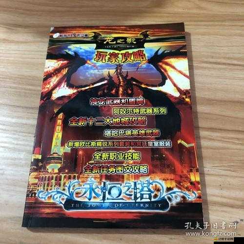 龍之影新手如何攻克永恒之塔？全面打法攻略揭秘！