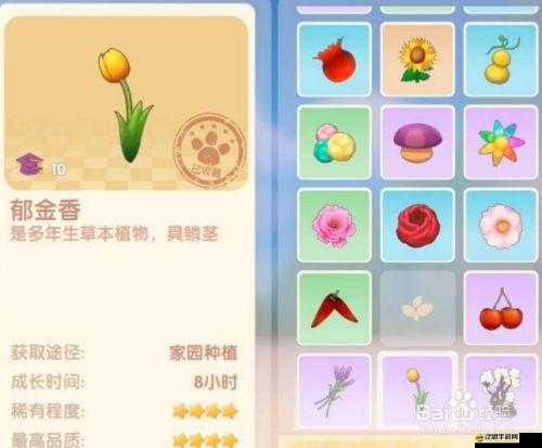 青丘狐傳說(shuō)手游中香爐如何獲取？全面解析獲取途徑攻略