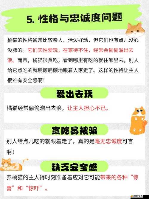 喵將傳基本屬性全揭秘，策略冒險如何完美融合成懸念？