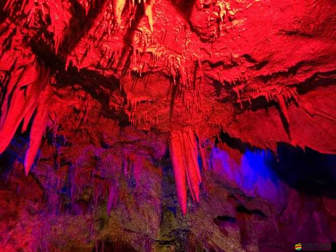 仙落凡塵神眠谷究竟隱藏何種未知挑戰，深度解析帶你一探究竟？