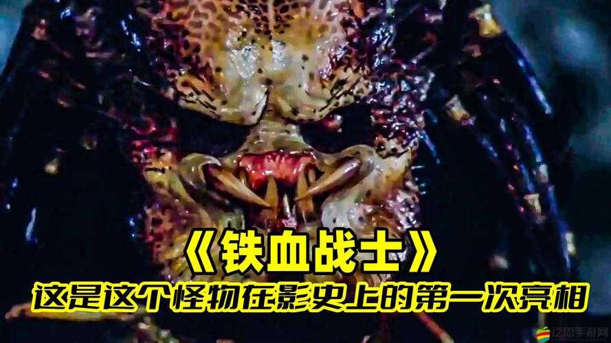 鐵血戰(zhàn)神如何揭秘特殊怪物隱藏的傷害力奧秘，背后真相令人驚嘆？