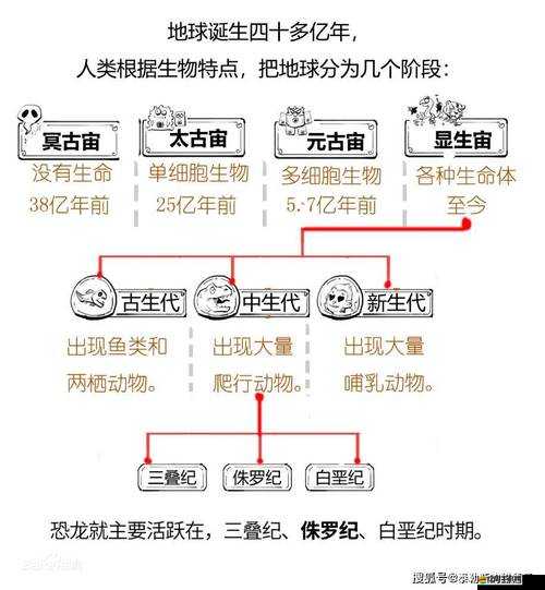天尊HD靈寶揭秘，熊貓賤客如何成為經典？演變史大揭秘！