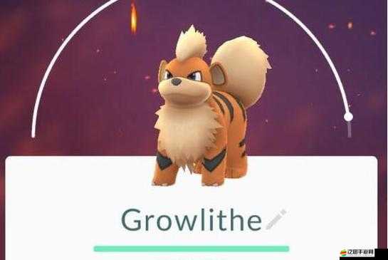 口袋妖怪GO精靈分布成謎？玩家如何高效捕捉心儀精靈？